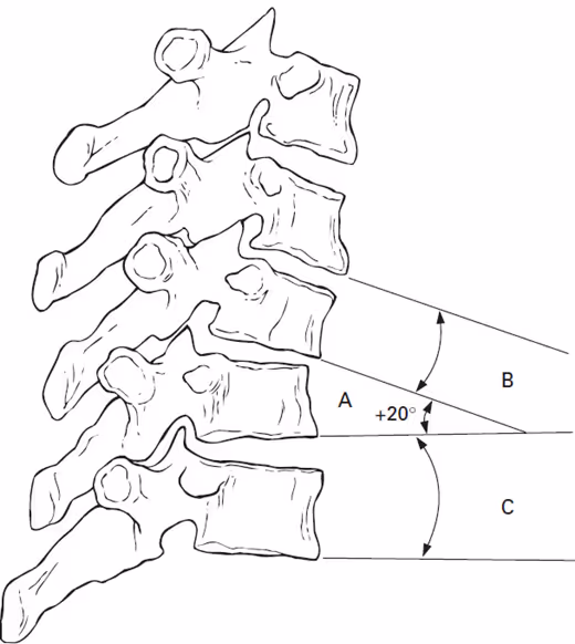 Advanced Medicolegal Documentation for the Chiropractor: AMA Guidelines